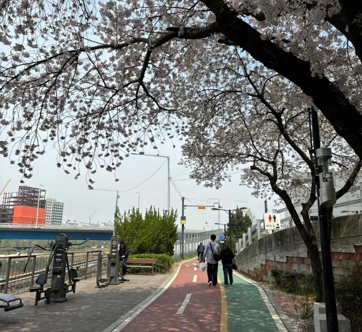 Appartement 201, Atelier Seongsu Riverside Loft Cherry Blossom Road Han River Airport Bus Séoul